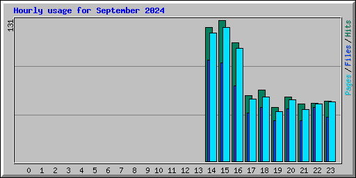 Hourly usage for September 2024