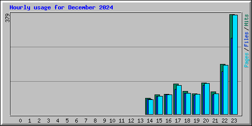 Hourly usage for December 2024