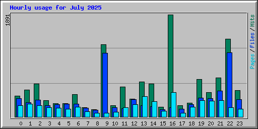 Hourly usage for July 2025