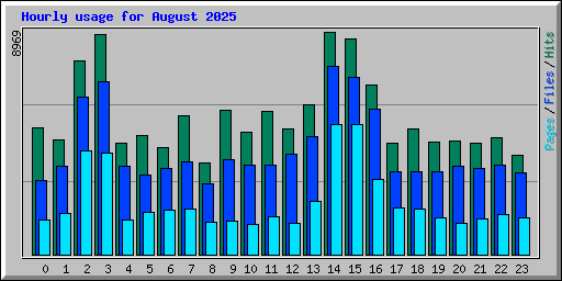 Hourly usage for August 2025