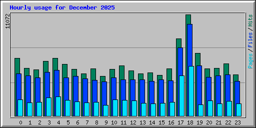 Hourly usage for December 2025