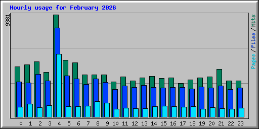 Hourly usage for February 2026