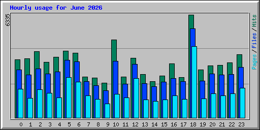 Hourly usage for June 2026
