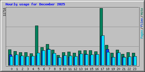 Hourly usage for December 2025