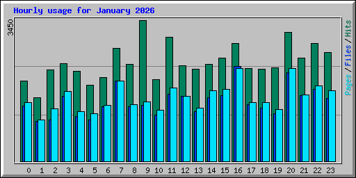 Hourly usage for January 2026