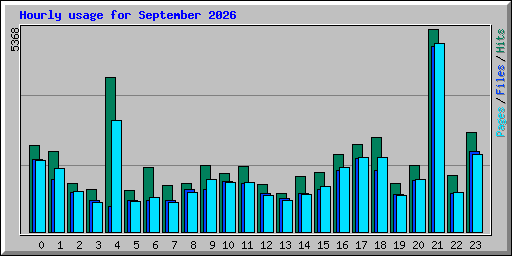 Hourly usage for September 2026