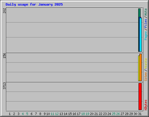 Daily usage for January 2025
