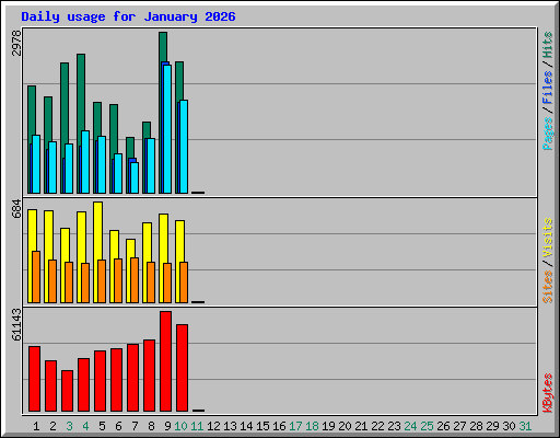 Daily usage for January 2026