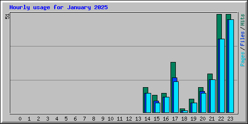 Hourly usage for January 2025