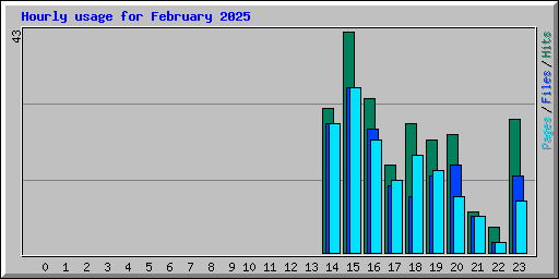 Hourly usage for February 2025