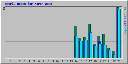 Hourly usage for March 2025