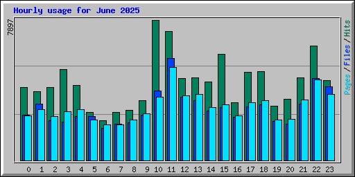 Hourly usage for June 2025