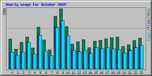 Hourly usage for October 2025
