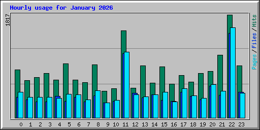 Hourly usage for January 2026