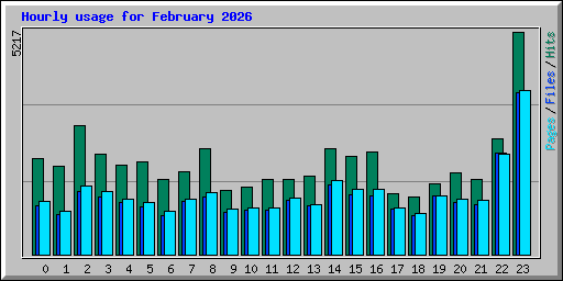 Hourly usage for February 2026
