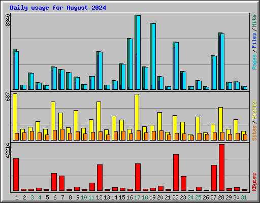Daily usage for August 2024