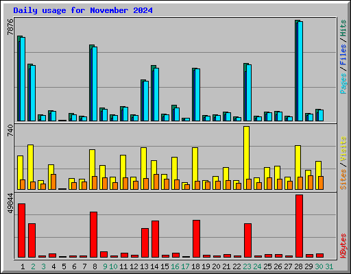Daily usage for November 2024