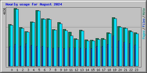 Hourly usage for August 2024
