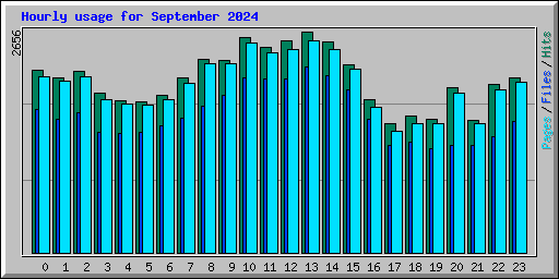 Hourly usage for September 2024