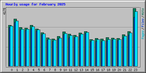 Hourly usage for February 2025