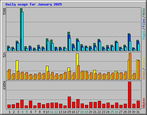 Daily usage for January 2025