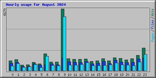 Hourly usage for August 2024
