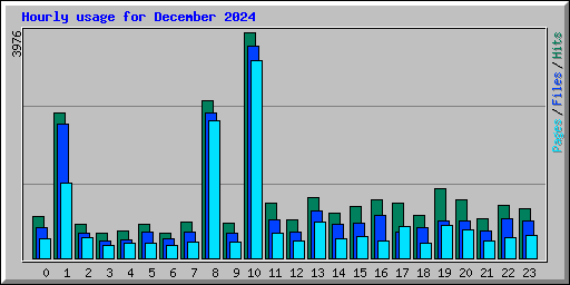 Hourly usage for December 2024