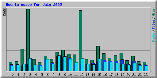 Hourly usage for July 2025