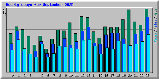 Hourly usage for September 2025