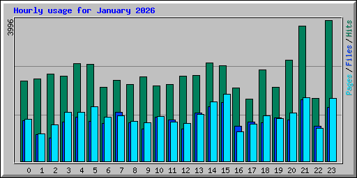 Hourly usage for January 2026