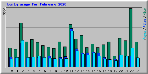 Hourly usage for February 2026