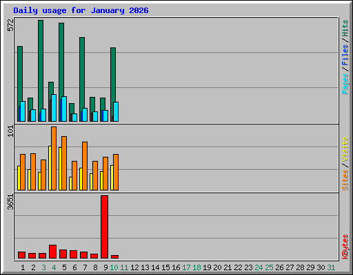 Daily usage for January 2026