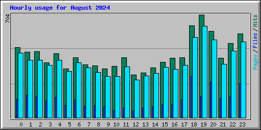 Hourly usage for August 2024