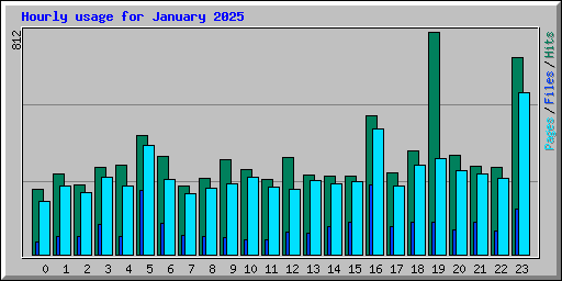 Hourly usage for January 2025