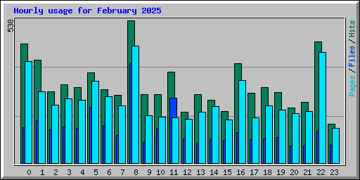 Hourly usage for February 2025