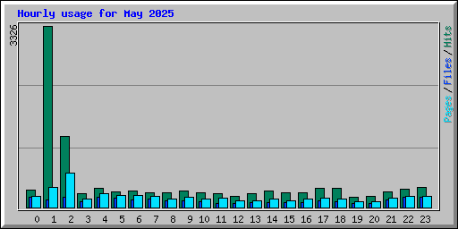 Hourly usage for May 2025