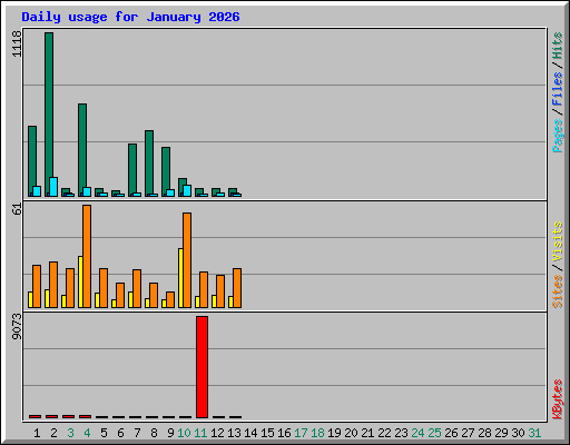 Daily usage for January 2026