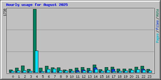 Hourly usage for August 2025