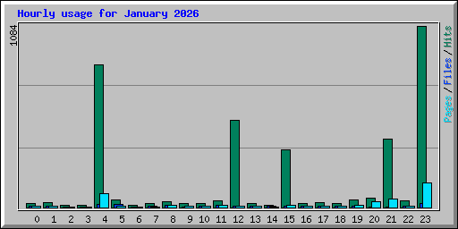 Hourly usage for January 2026
