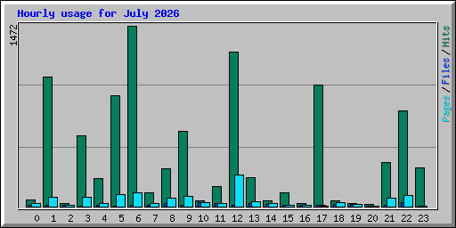 Hourly usage for July 2026