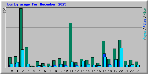 Hourly usage for December 2025