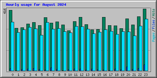 Hourly usage for August 2024