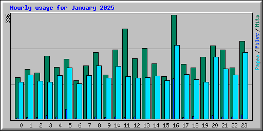 Hourly usage for January 2025