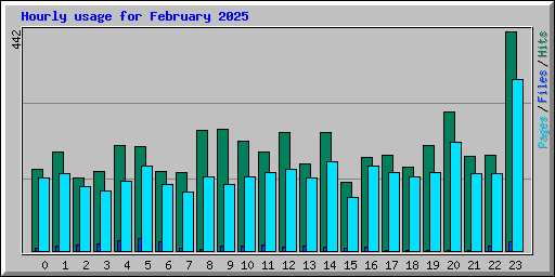 Hourly usage for February 2025