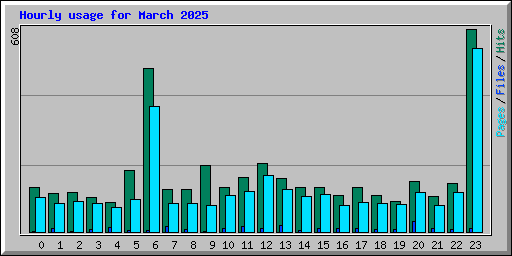 Hourly usage for March 2025