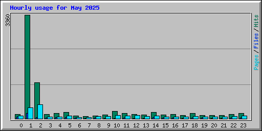 Hourly usage for May 2025