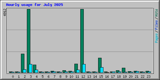 Hourly usage for July 2025
