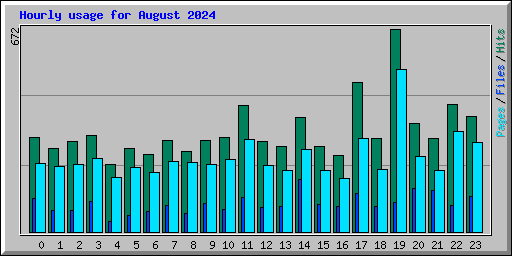Hourly usage for August 2024