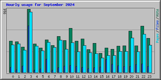 Hourly usage for September 2024