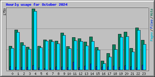 Hourly usage for October 2024